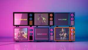 Read more about the article ワーナーミュージックが「FASTサービス」進出。音楽映像コンテンツをRokuで配信