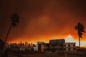 Read more about the article LA山火事、メジャーレーベルはグラミー賞関連イベントの中止を早々発表。支援活動に尽力